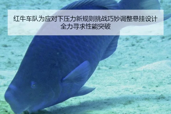 红牛车队为应对下压力新规则挑战巧妙调整悬挂设计全力寻求性能突破