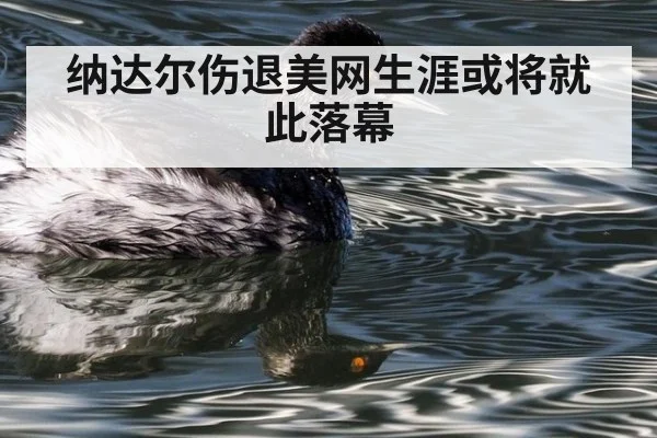 纳达尔伤退美网生涯或将就此落幕